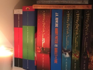 harry potter book review blog